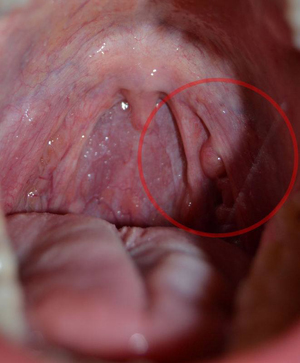 Pasin sipsinsy&ouml;ntionnettomuus